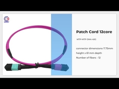 Tipos de pequeñas pérdidas magentas óptico 0.3dB B de la base OM4 24 del cordón de remiendo de la fibra 24 MTP MPO los 5M